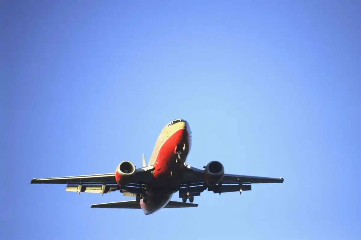 plane in the air