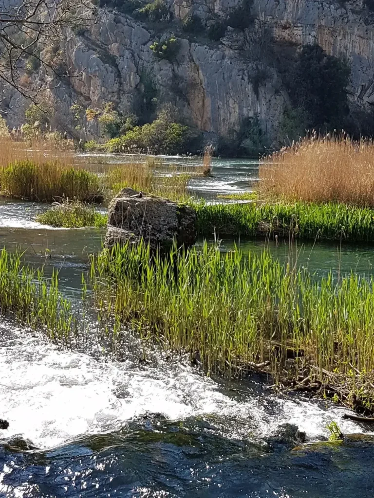 river krka flowing in np krka