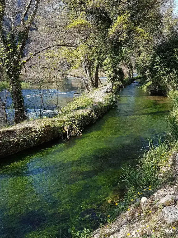 green water in river krka